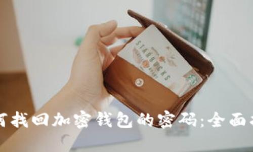 如何找回加密钱包的密码:全面指南